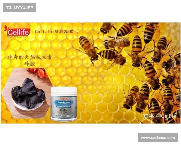 蜂胶宝典:守护全身健康的天然防护盾 蜂胶宝典:守护全身健康的天然防护盾